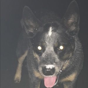 Meet your Posher, Stacie